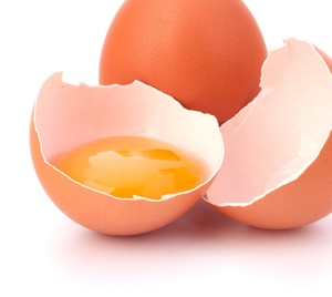 Нужен ли петух для яйценоскости курицы