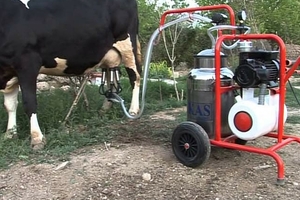 Доильный аппарат для коров: критерии выбора