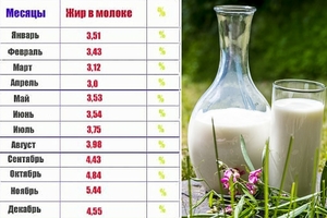 Жирность молока по времени года