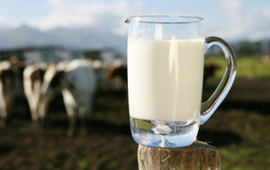 Способы повысить жирность молока