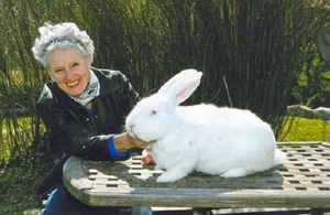 История появления породы кроликов белый великан