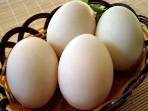 Утиные и гусиные яйца: польза 