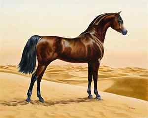 Арабские Лошади