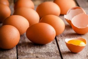 Сколько весит перепелиное яйцо